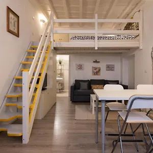 A Due Passi Da S.pietro E Castel Sant'angelo Loft Gianicolo Apartament